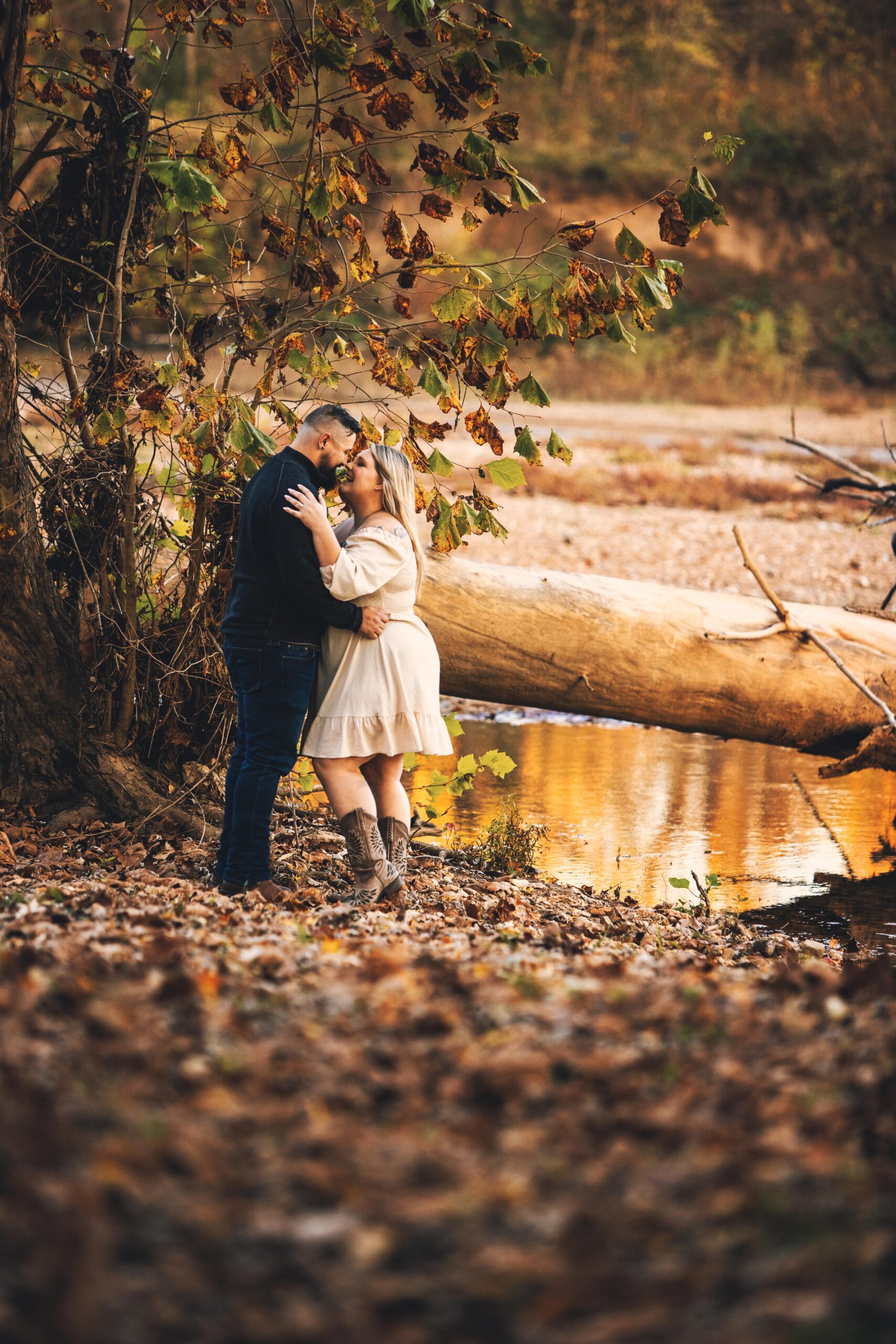 Engagement Photos in St Louis